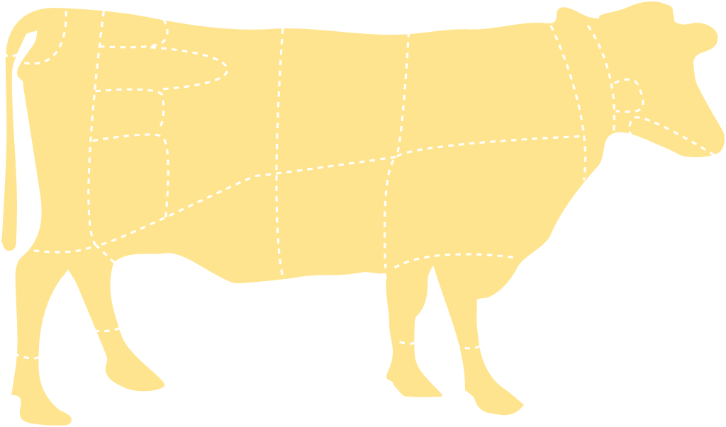 new cow