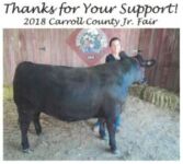 carroll county 2018 3 spare ribs baby back ribs casing sausage beef chuck roast beef brisket