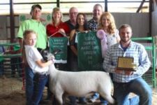 portage county 2017 2 deer processing hog processing hog slaughter smoked meats casing sausage little links