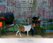 20181203090321 010 20181203090321 010